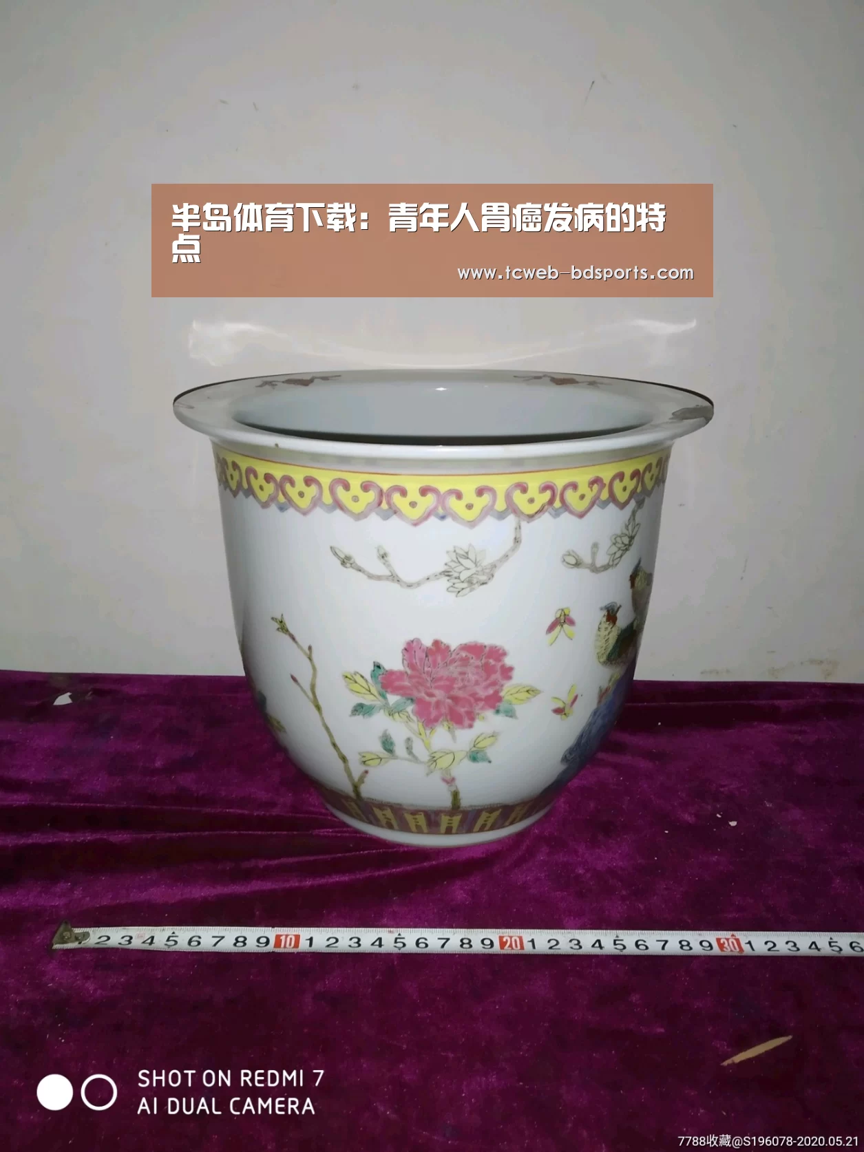 半岛体育